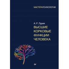 Высшие корковые функции человека