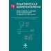 Практическая нейропсихология. Опыт работы с детьми, испытывающими трудности в обучении